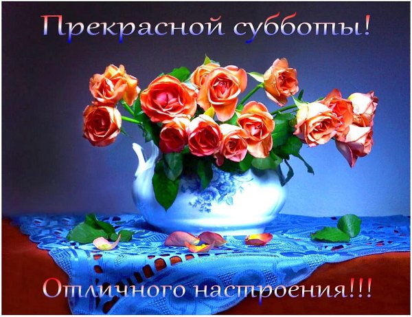 Пусть в сегодняшнем дне будут и добрые вести, и приятные встречи, и улыбки, и шутки ! Будьте ... - 3