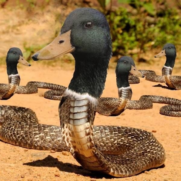 ! .    ,   ,      ...