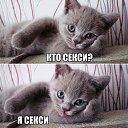 ���� ��������, ������������, 51 ��� - ��������� 14 ������ 2017 � ������ ������ ��������