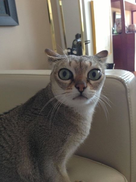 ?   ?
