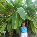 ���� ��������, ������, 63 ���� - ��������� 28 ���� 2017 � ������ ���� ����������