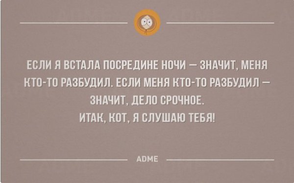 ,     ,      .       , ... - 26