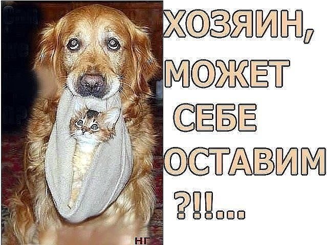 Comedy Club - 21  2017  07:23