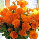 ���� �����, ������ - ��������� 28 ������ 2017