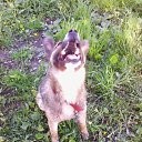 ���� �����, ���������, 48 ��� - ��������� 20 ���� 2017 � ������ ���� ����������