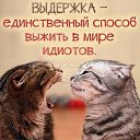 ���� ��������, �����-���������, 48 ��� - ��������� 3 �������� 2017 � ������ ������ ��������