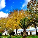  ,  -  24  2017                   Ѩ       һ