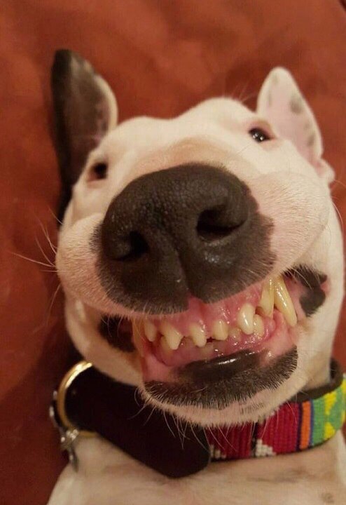 Впереди длинные выходные, УРрраааааа.Всем хорошей погоды, шашлычков и прочих прелестей