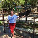 ���� �����, ��������, 58 ��� - ��������� 1 ������ 2017 � ������ ������ ������