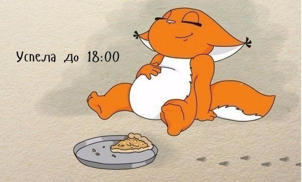    |   - 25  2017  05:09