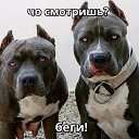 ���� ��������), ������������, 42 ���� - ��������� 30 ������� 2017 � ������ ���� ����������