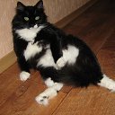 ����������� ���� �� ������� ���� ����������