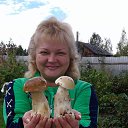  ,  , 53  -  25  2017    