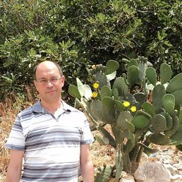 ����� ������, ������, 60 ���