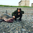 ���� ����, �������, 26 ��� - ��������� 23 ������� 2017 � ������ ���� ����������