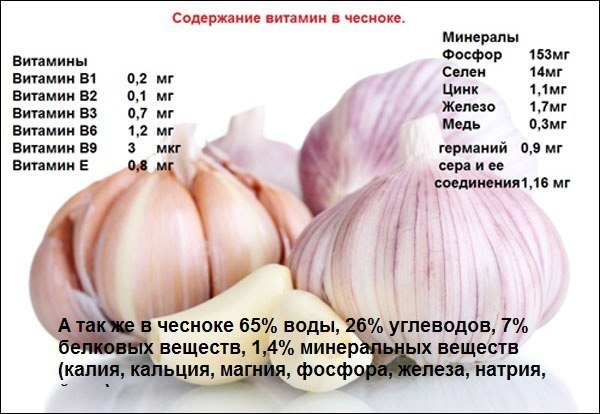 ЧИСТКА ЧЕСНОКОМ.
