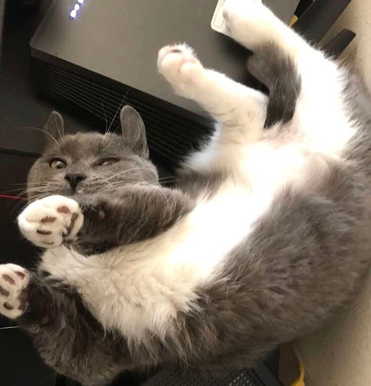 �������� �������� - 30 ������ 2017 � 17:09