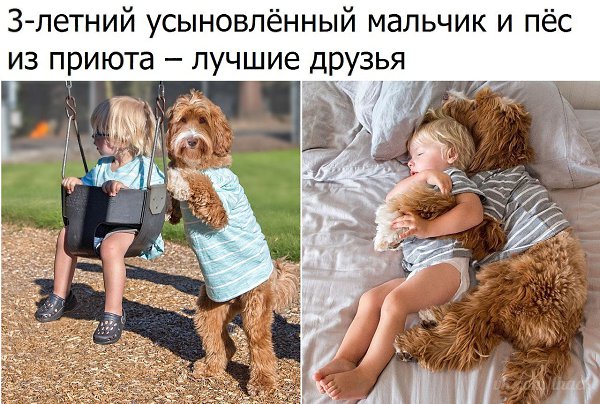  - 22  2017  06:04