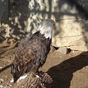 ���� ������, ������ - ��������� 13 �������� 2017 � ������ ����������� ������ʻ