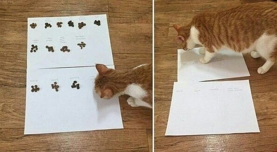  ,      . ,     .