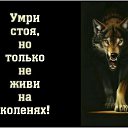 ���� �������� �������, ������ - ��������� 14 �������� 2017 � ������ ������ ��������