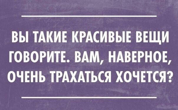    - 17  2017  18:51