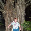 ���� �������, ������ - ��������� 18 ������ 2017 � ������ ���� ����������