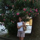 ���� �������, ���������� - ��������� 30 ������� 2017 � ������ ���� ����������