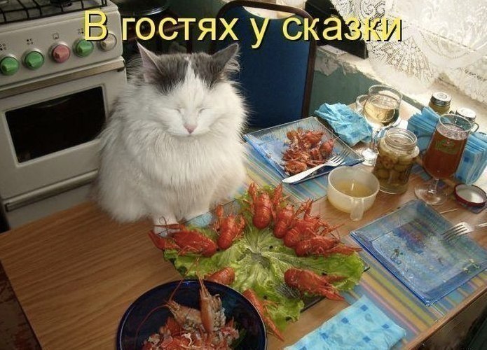 5  )) - 5