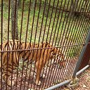 ���� �� ������� ���� ����������