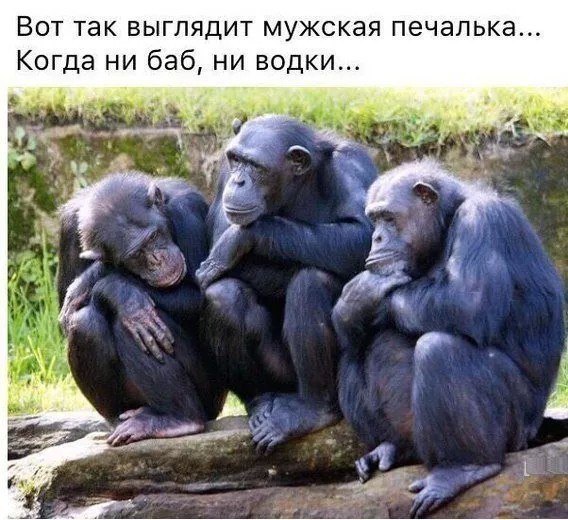      !  , , ,    ... ... - 2