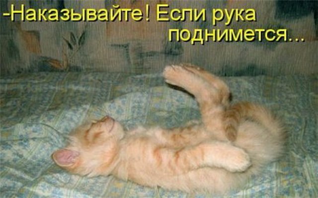 Спасибо всем, кто нам мешает, Кто нам намерено вредит, Кто наши планы разрушает, И нас обидеть ...