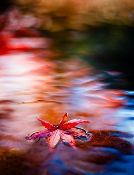 ������� | ���� 2016 | ������ | �������� | ������ - 20 ������� 2017 � 13:38 - 3