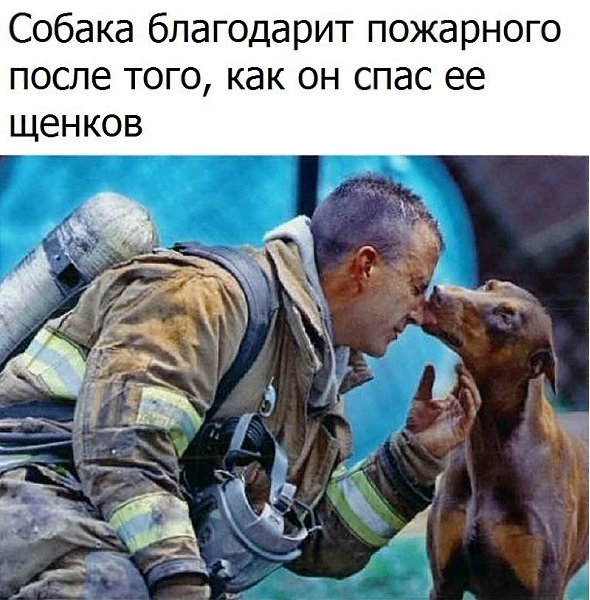   - 11  2017  14:00