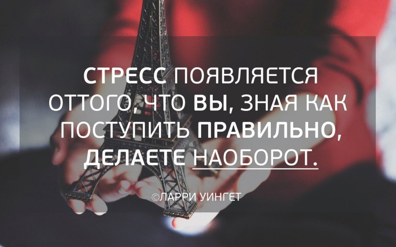 BEST | , ,  - 21  2017  22:27