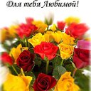 ���� ������, ������� - ��������� 7 ������� 2017 � ������ ������ ��������