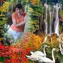 ���� �����, ��������, 44 ���� - ��������� 9 ���� 2017 � ������ ���� ����������