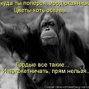 ���� Yuriy, ���������, 43 ���� - ��������� 16 ������� 2017 � ������ ���������