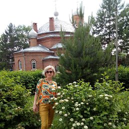 ���� �������, �������������, 66 ��� - ��������� 12 ���� 2017