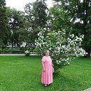 ���� ��������, ������, 54 ���� - ��������� 9 ������� 2017 � ������ ���� ����������
