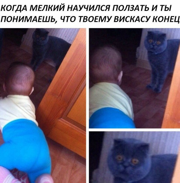   - 7  2017  20:46