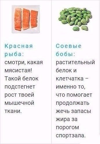 Идеальные продукты для тех, кто занимается в спортом - 4