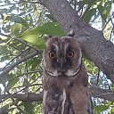 ���� �������, ����������� - ��������� 23 ���� 2017 � ������ ������� ��.�