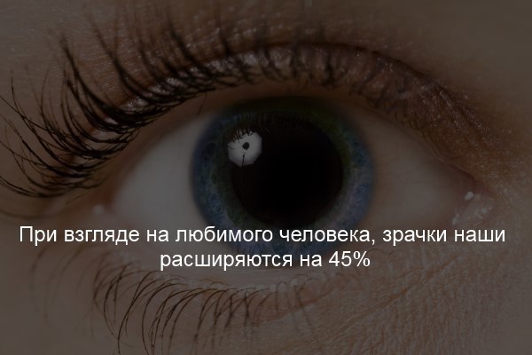  - 5  2017  17:07