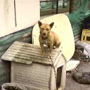 ���� �����, ����, 49 ��� - ��������� 18 ������ 2017 � ������ ���� ����������