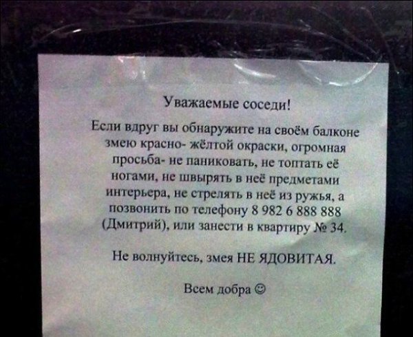 Что ни говори, а в многоквартирном доме сохранить добрососедские отношения очень и очень сложно. ... - 13