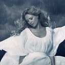 ���� ���������, ������ - ��������� 31 ������� 2017 � ������ ���� ����������