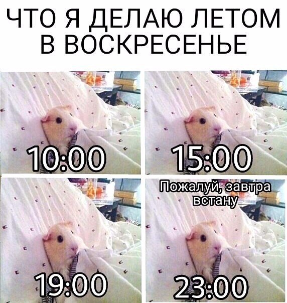   - 11  2017  15:41