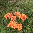 ���� �����, ����� - ��������� 13 �������� 2017 � ������ ���� ����������