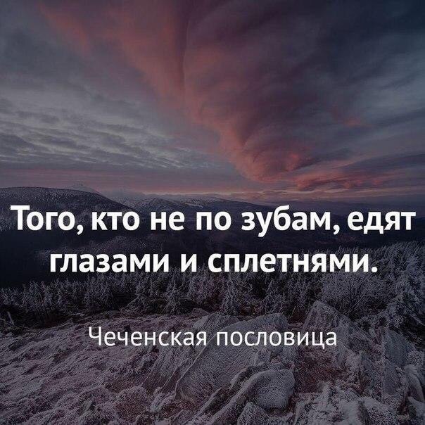 , , , ,  - 9  2017  06:05